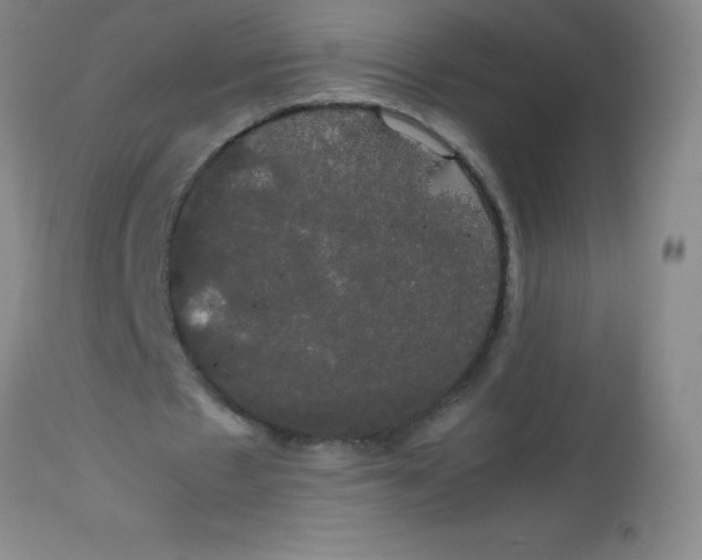 X0000113850481200910151216