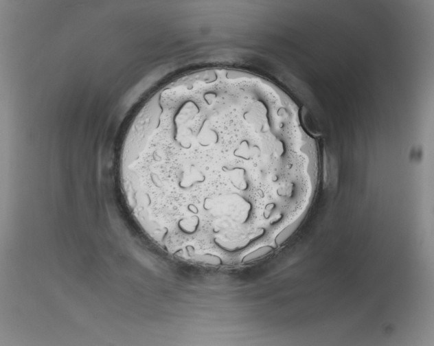 X0000113850483200910151216