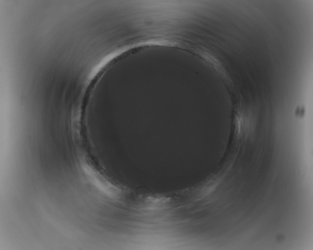 X0000113850484200910151216