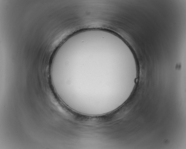 X0000113850485200910151216