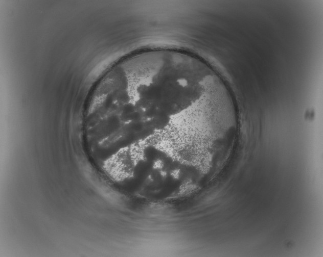 X0000113850487200910151215