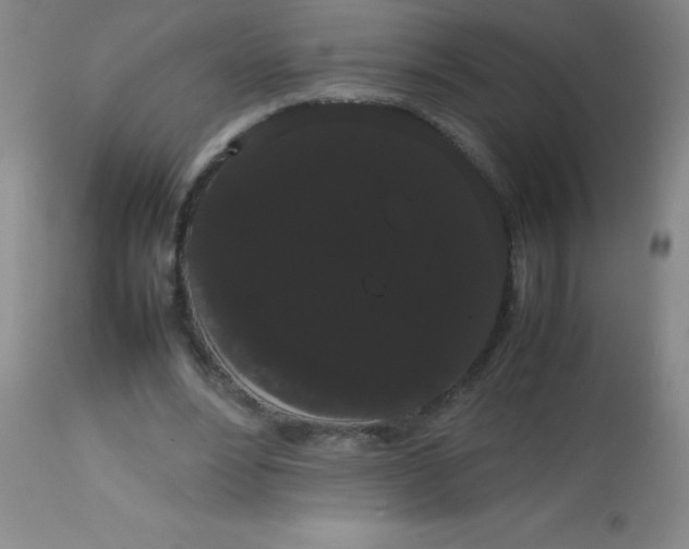 X0000113850488200910151215