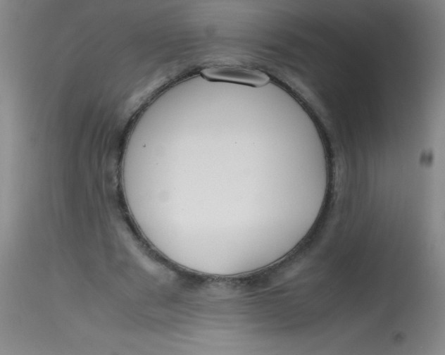 X0000113850489200910151215