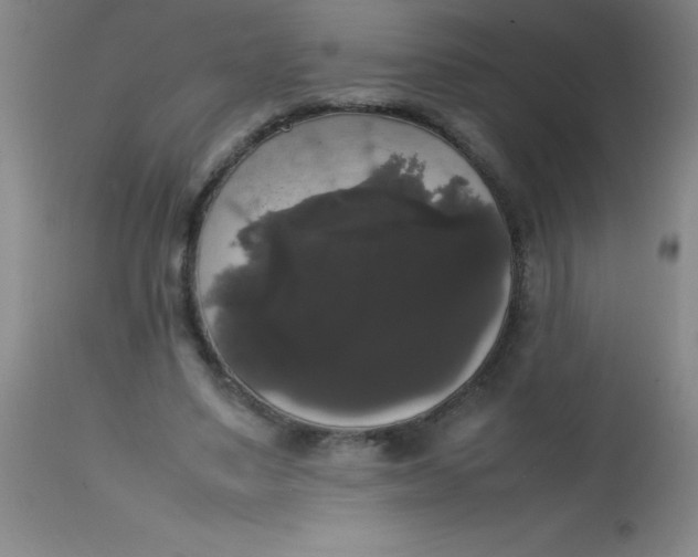 X0000113850491200910151215