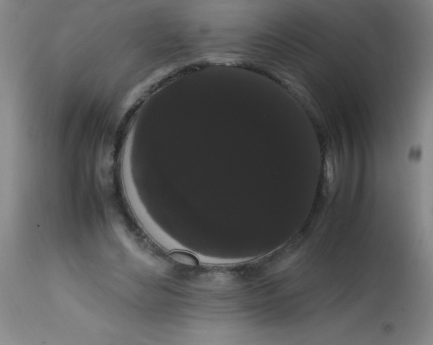 X0000113850492200910151215