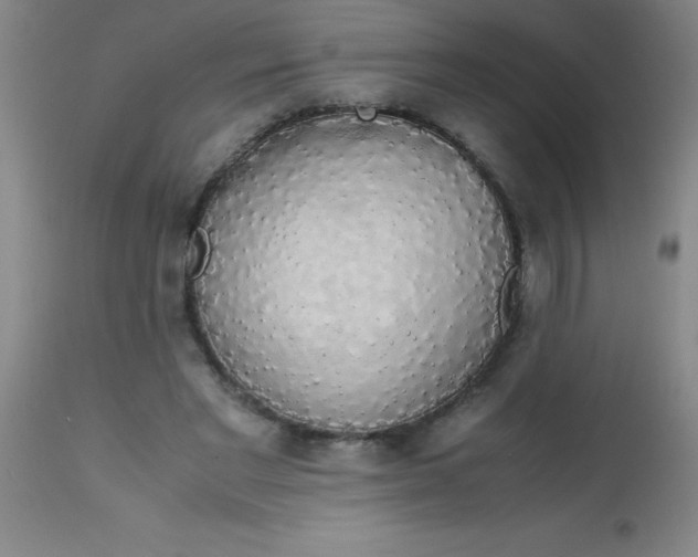 X0000113850493200910151215