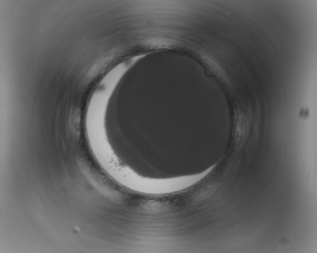 X0000113850494200910151215