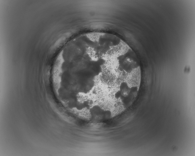 X0000113850495200910151215