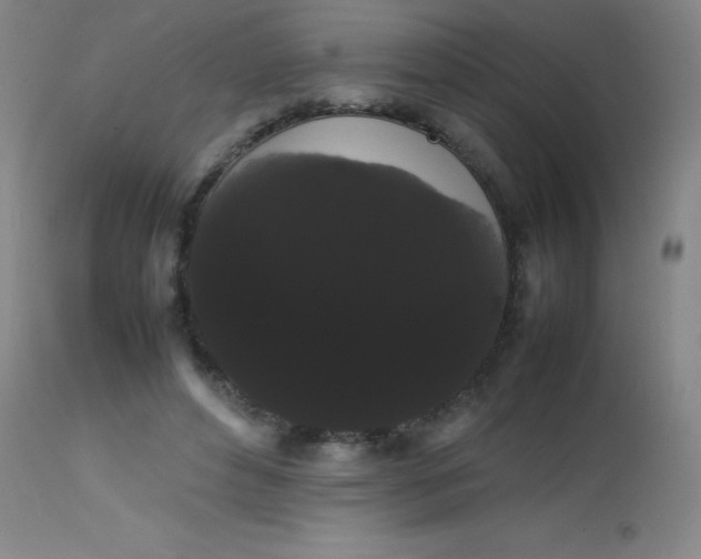 X0000113850496200910151215