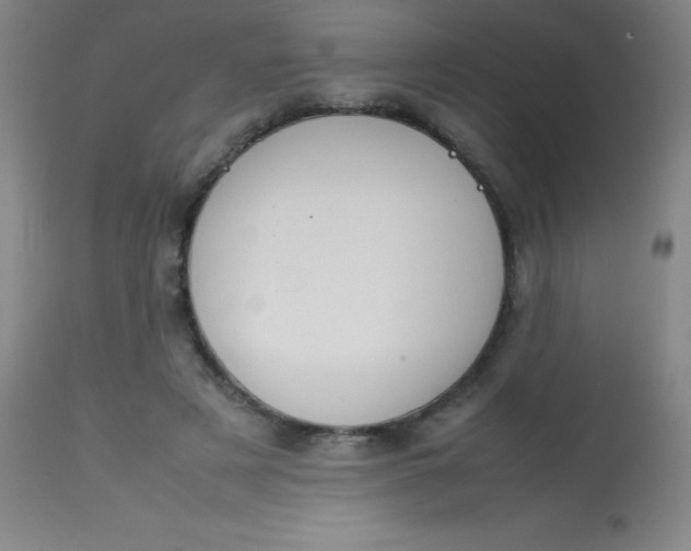 X0000113850497200910151215