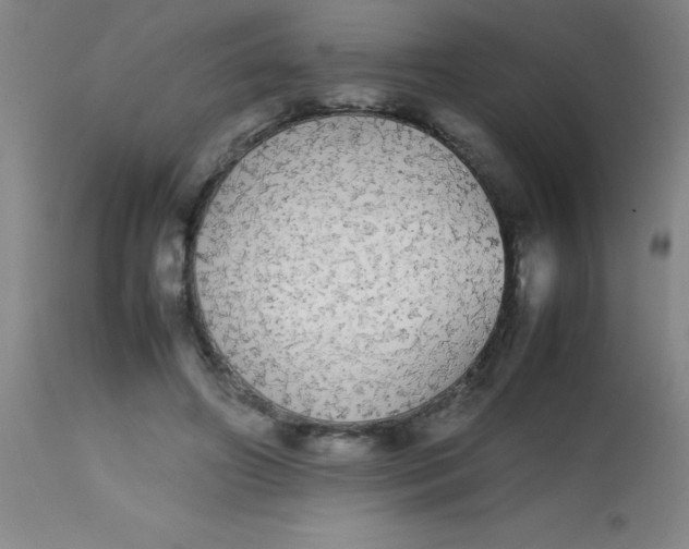 X0000113850498200910151215