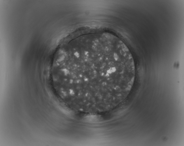 X0000113850499200910151215