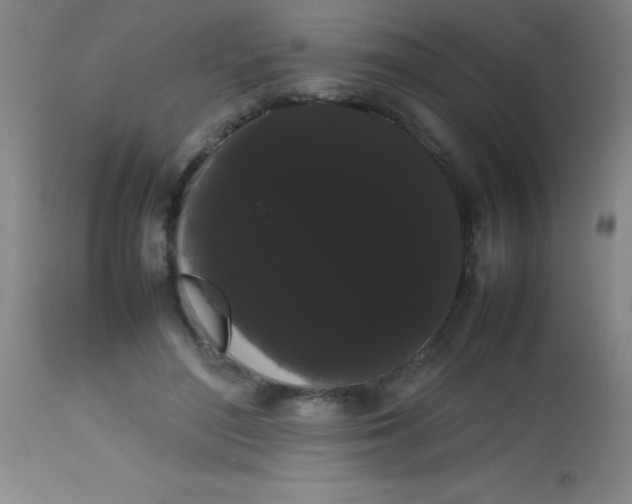 X0000113850500200910151215