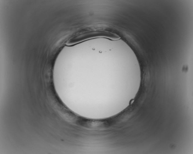 X0000113850501200910151215