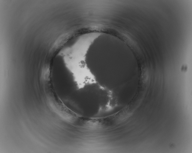 X0000113850502200910151215