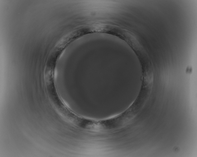 X0000113850503200910151215