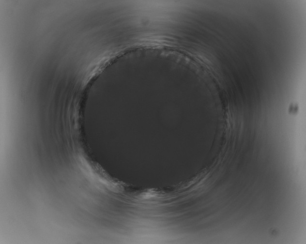 X0000113850504200910151215