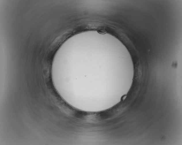 X0000113850505200910151215