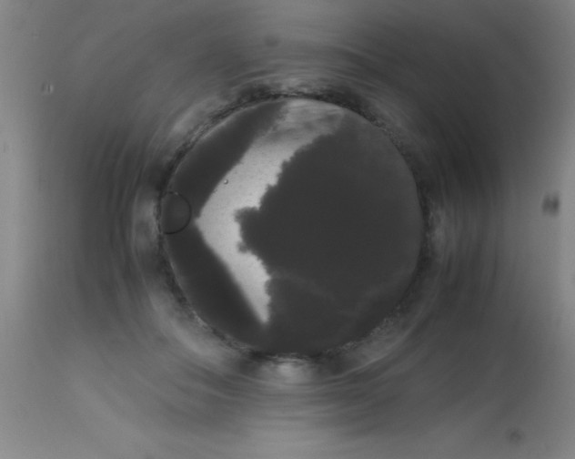 X0000113850506200910151215