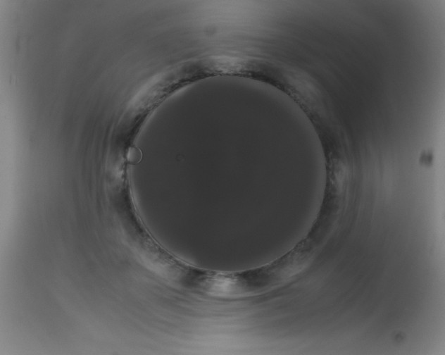 X0000113850507200910151215