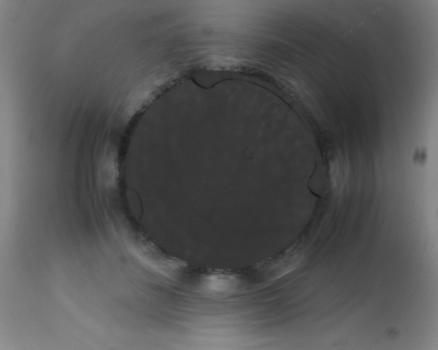 X0000113850508200910151215