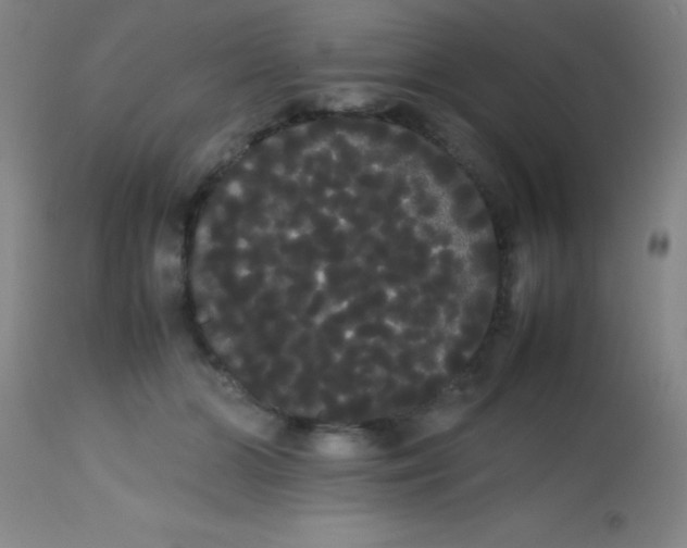 X0000113850510200910151215