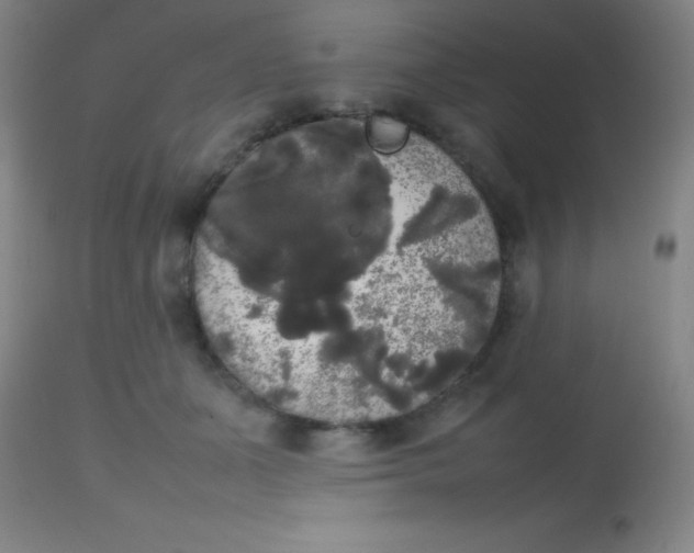 X0000113850511200910151215