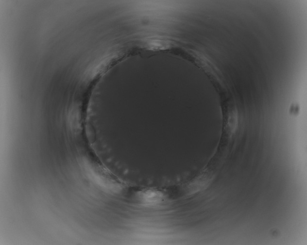 X0000113850512200910151215