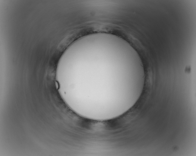 X0000113850513200910151215