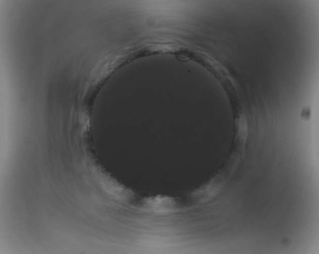 X0000113850517200910151215