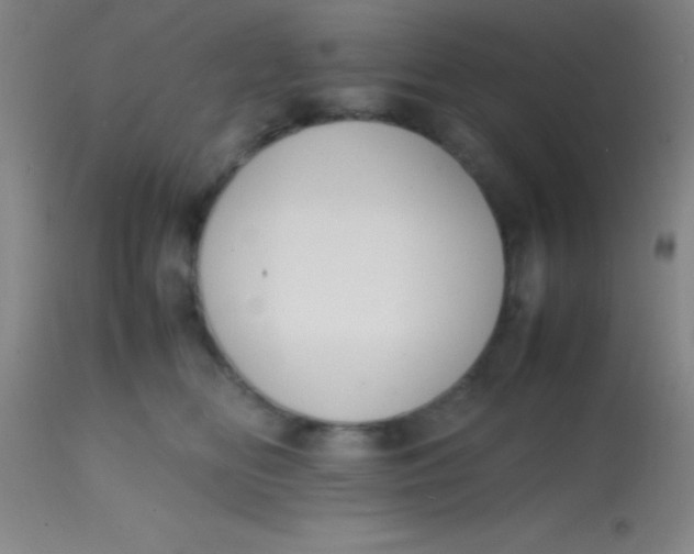 X0000113850518200910151215