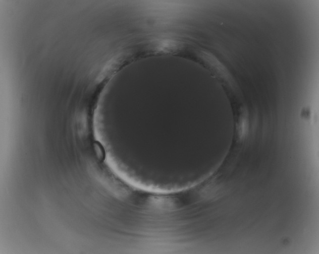 X0000113850520200910151215