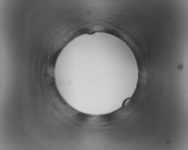 X0000113850521200910151215