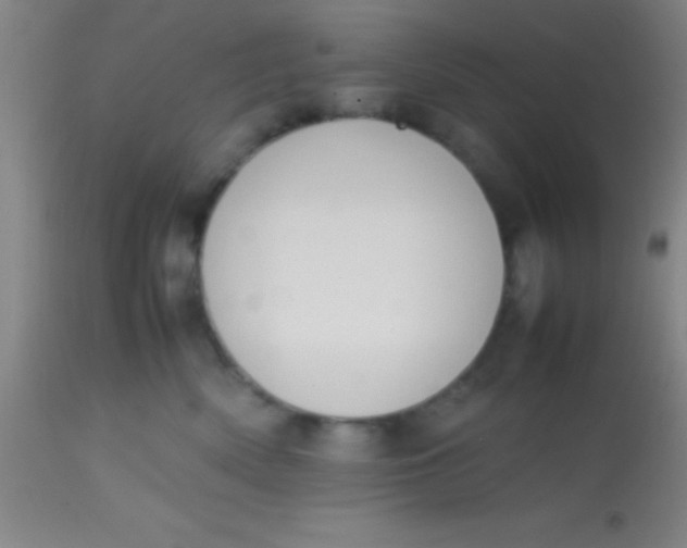 X0000113850522200910151215