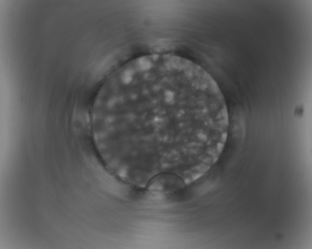 X0000113850523200910151215