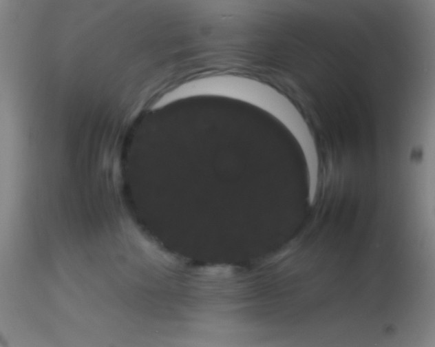 X0000113850524200910151215