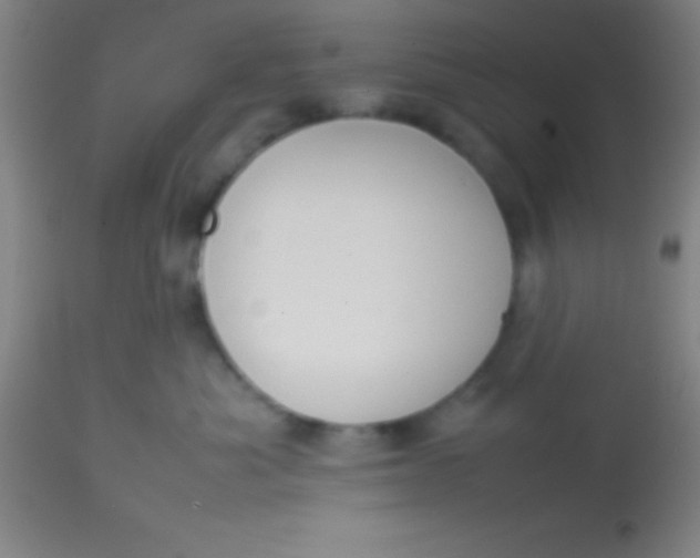 X0000113850525200910151215