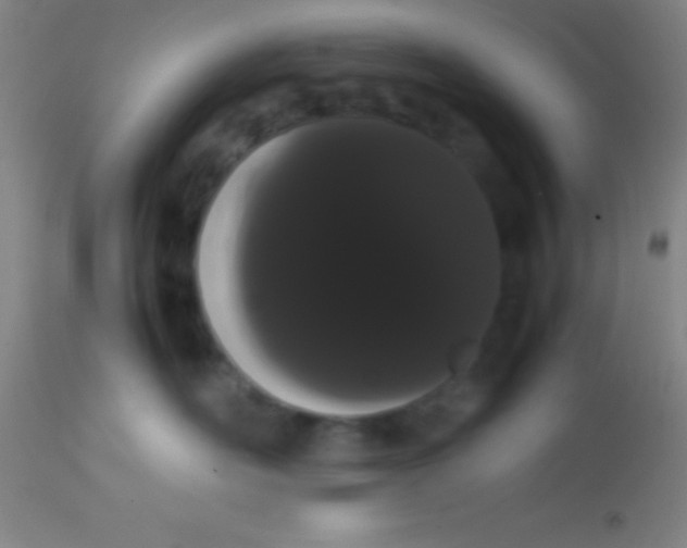 X0000113850526200910151215