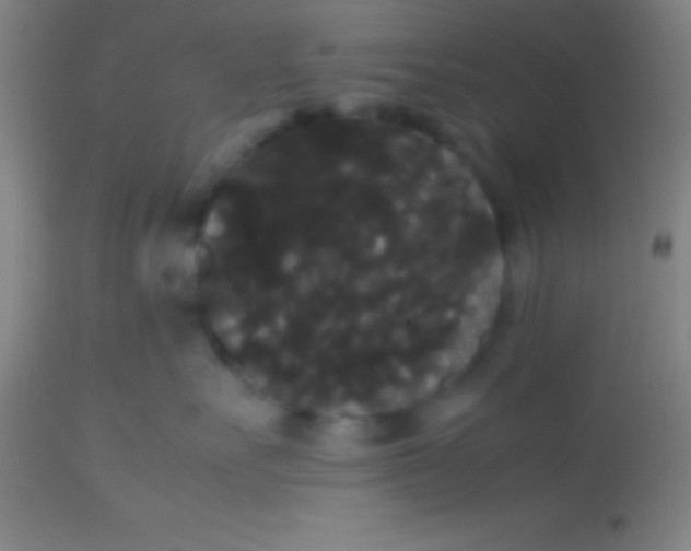 X0000113850527200910151215