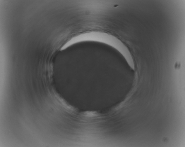 X0000113850528200910151215