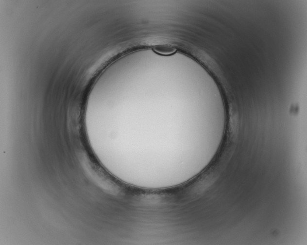 X0000113850530200910151214