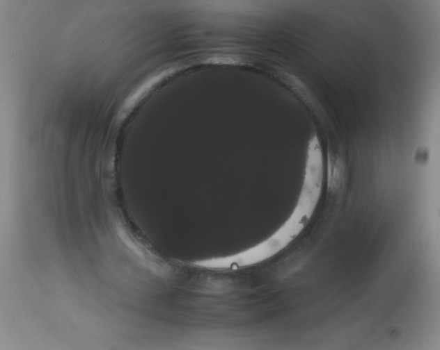 X0000113850531200910151214