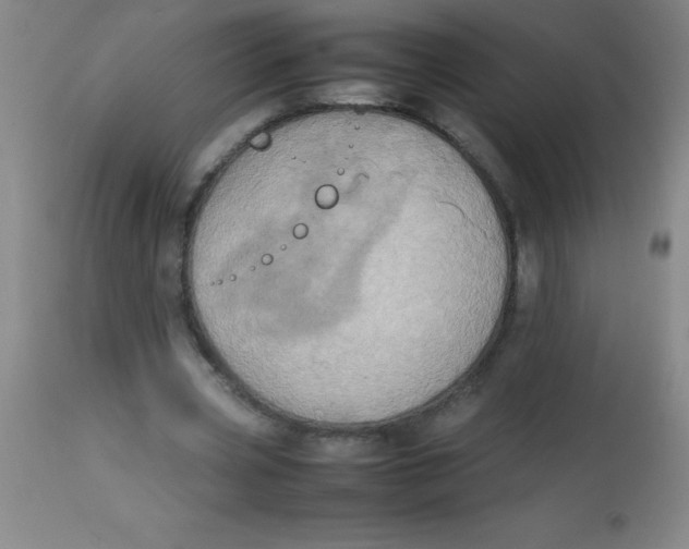 X0000113850533200910151214