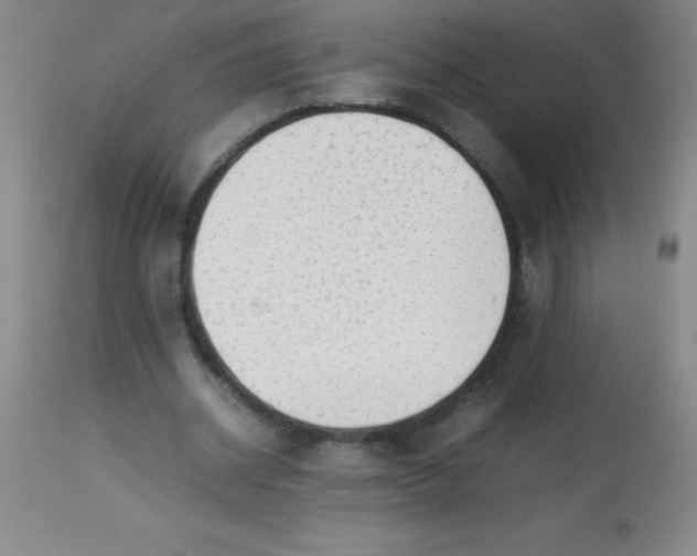 X0000113850534200910151214