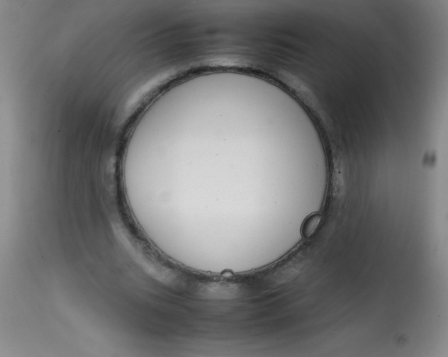 X0000113850535200910151214