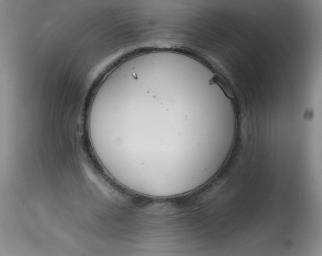 X0000113850536200910151214