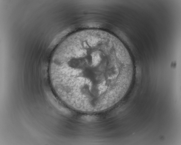 X0000113850537200910151214