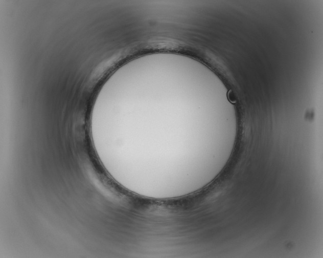 X0000113850538200910151214