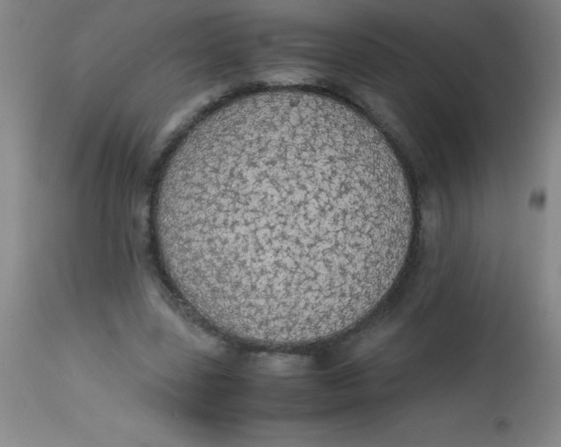 X0000113850539200910151214