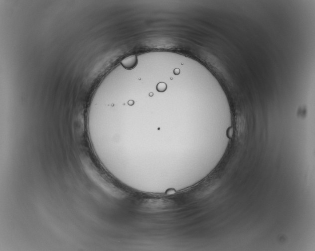 X0000113850541200910151214